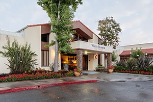 WhiteBlossom-300×200-1