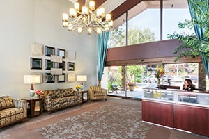 WhiteBlossom-300×200-2