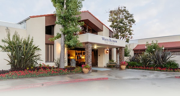 White Blossom Care Center photo 9