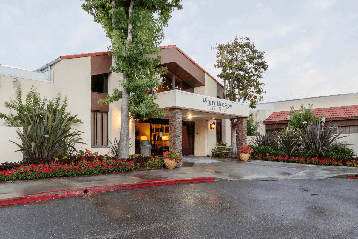 Desktop Background Image